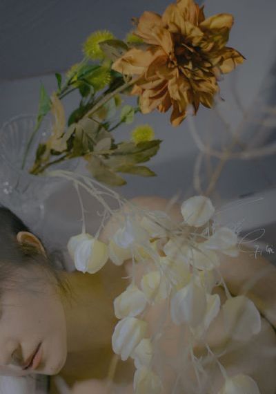 兄妹蕉谈 林予曦在线观看_DVD免费观看