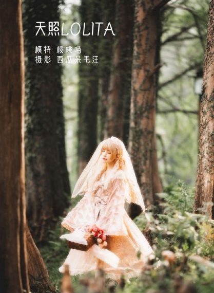 《灵剑尊》全集免费观看_DVD最新电影在线观看
