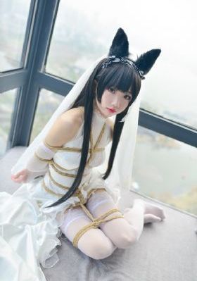 机器人总动员国语_HD视频大全