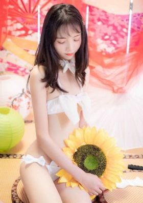 阿麦从军电视剧免费观看全集高清_BD英语HD在线观看
